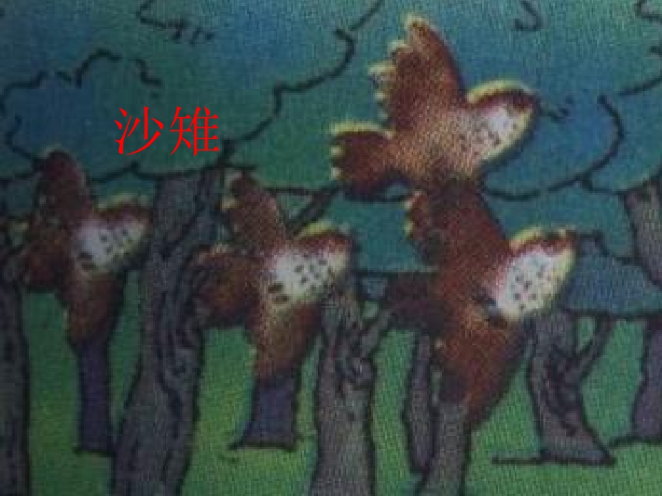 17.jpg