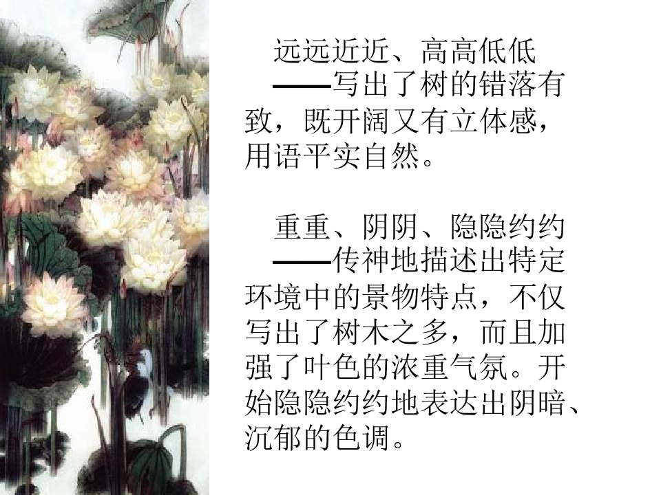 48.jpg