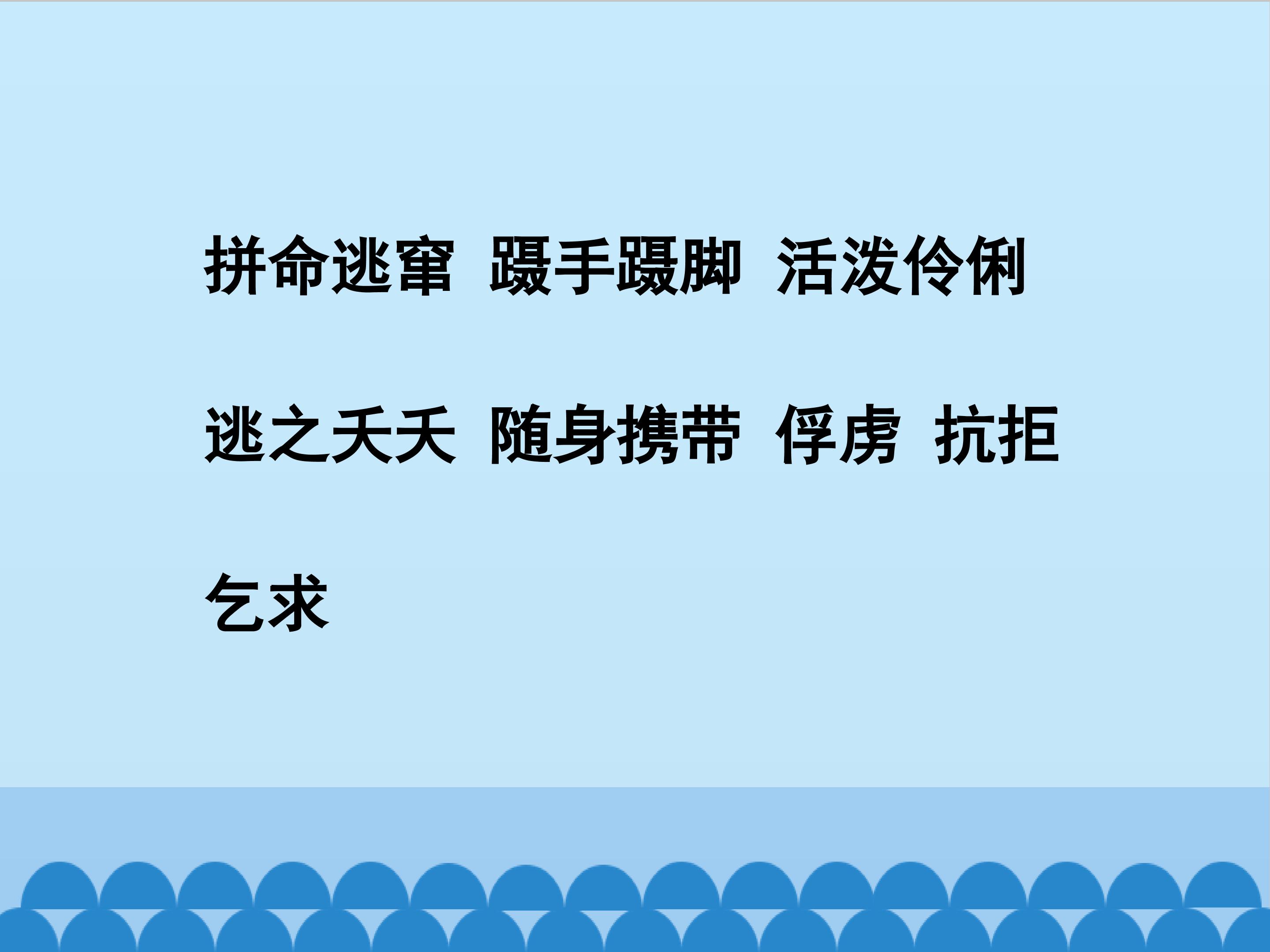 15.jpg