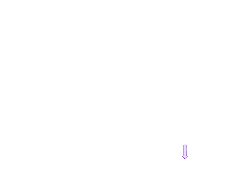 62.jpg