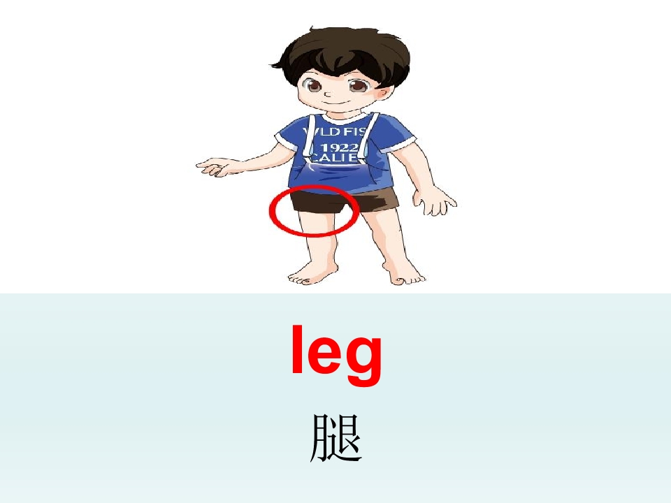 17.jpg