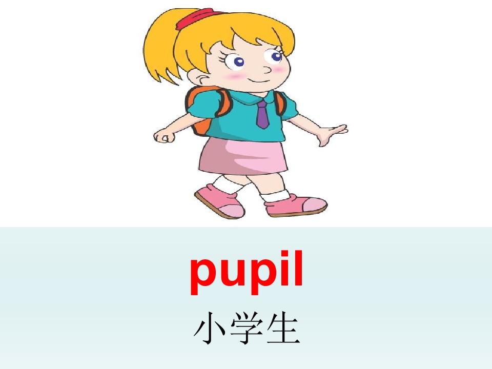 47.jpg