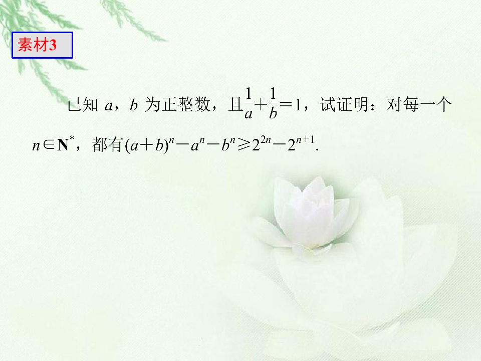 46.jpg