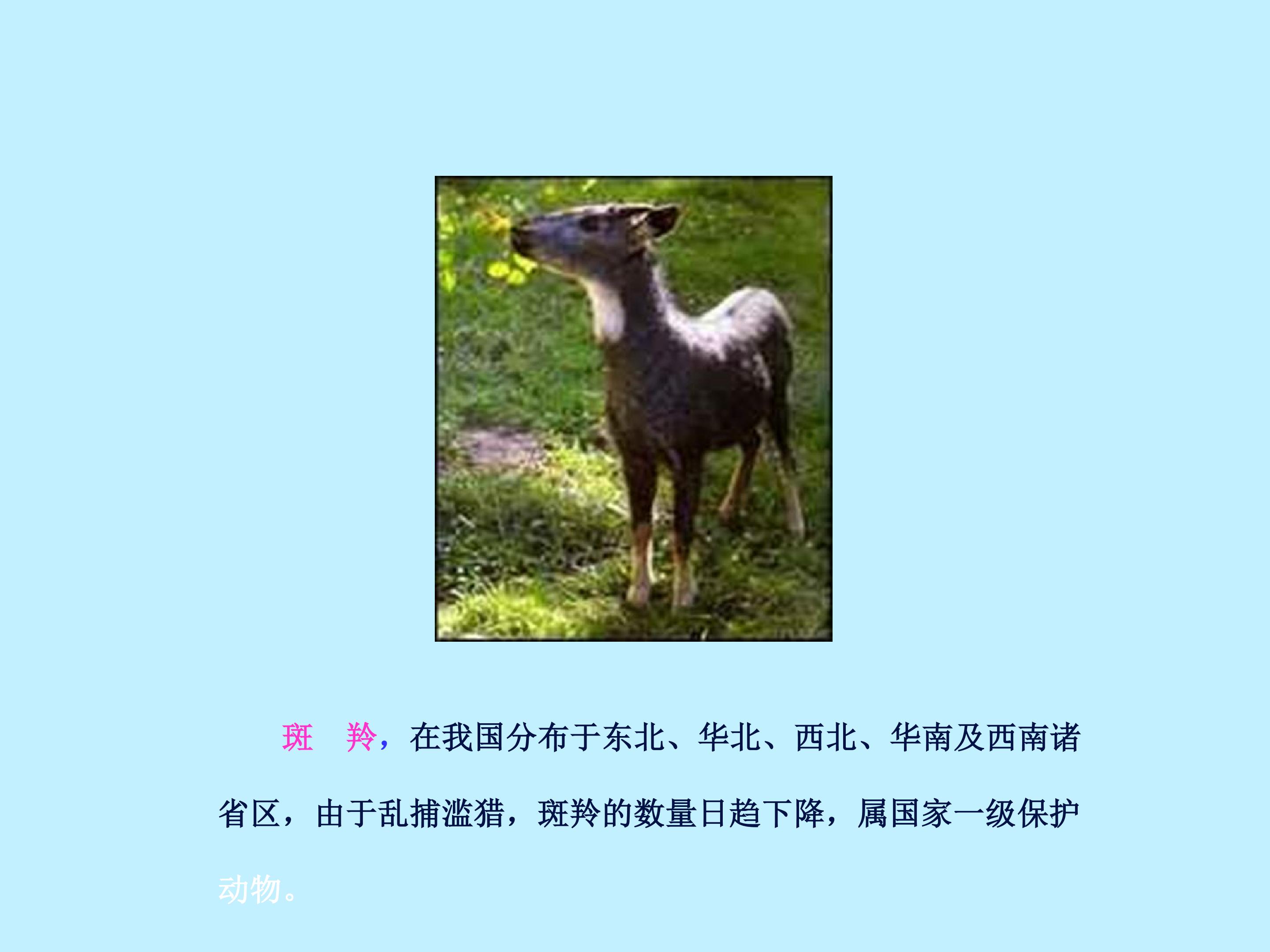46.jpg