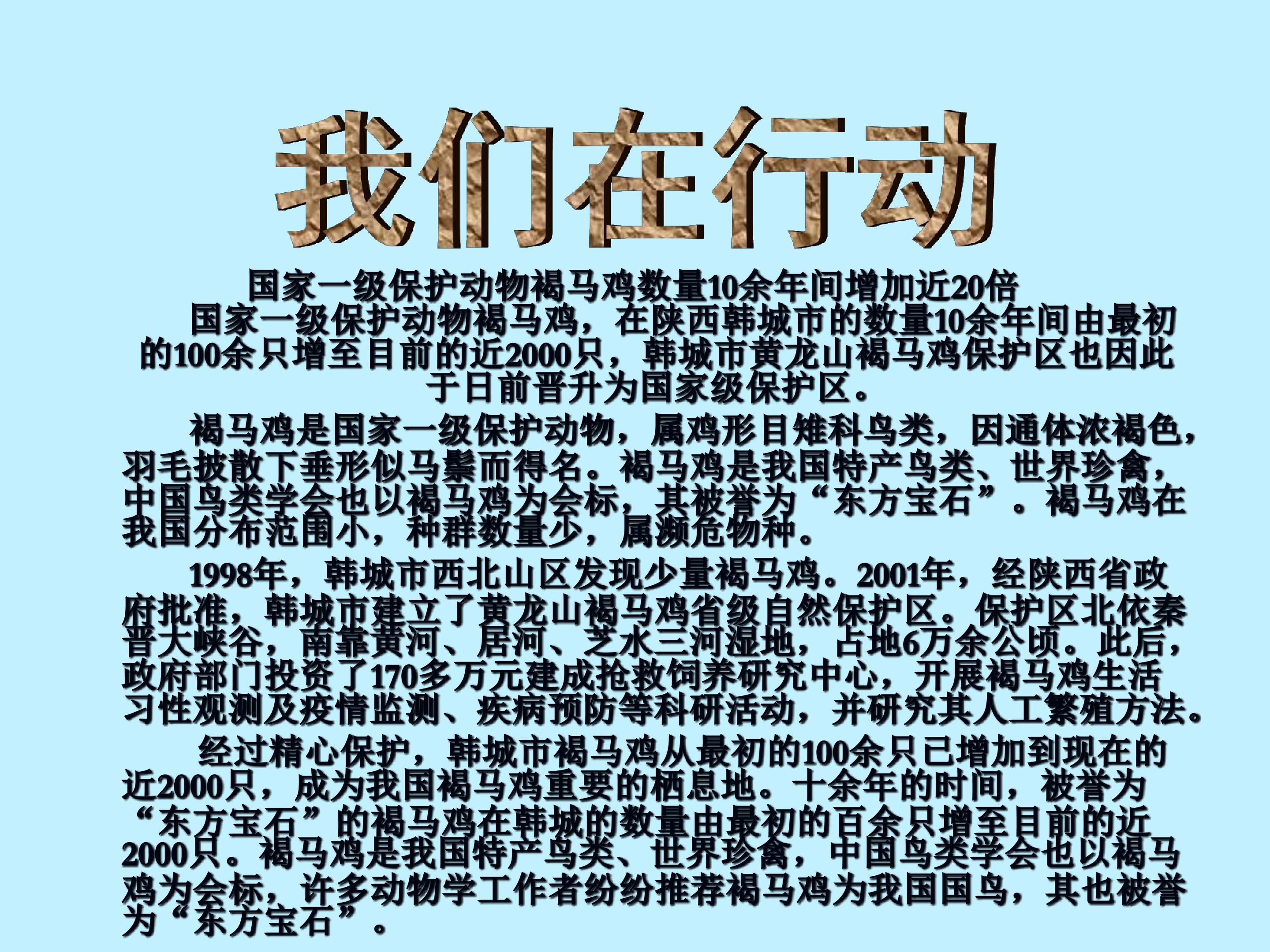 58.jpg