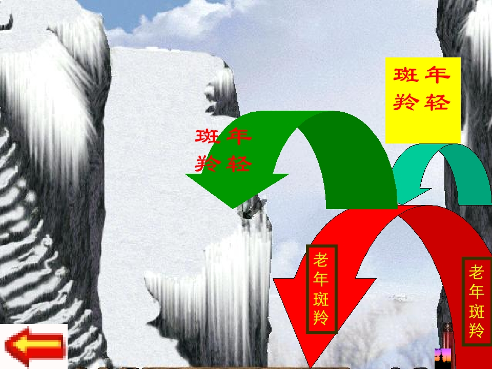 14.jpg