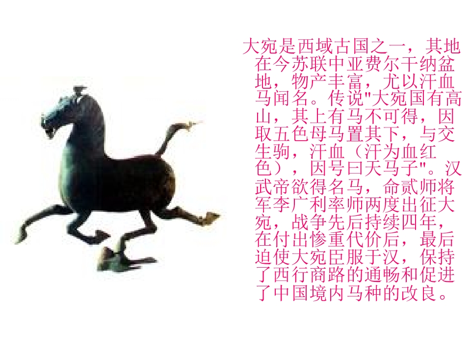 48.jpg