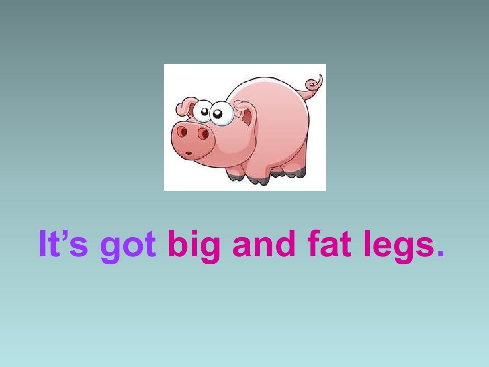 25.jpg