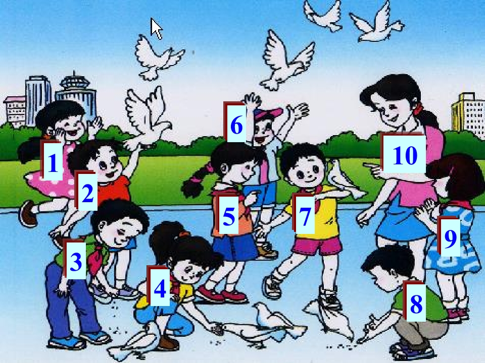 7.jpg