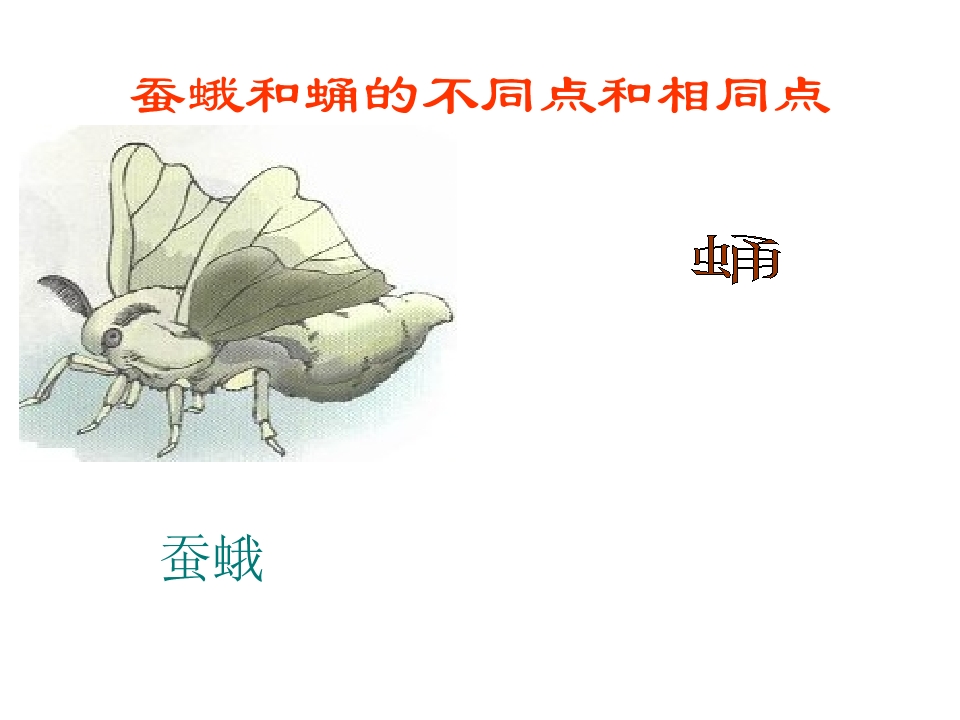 14.jpg