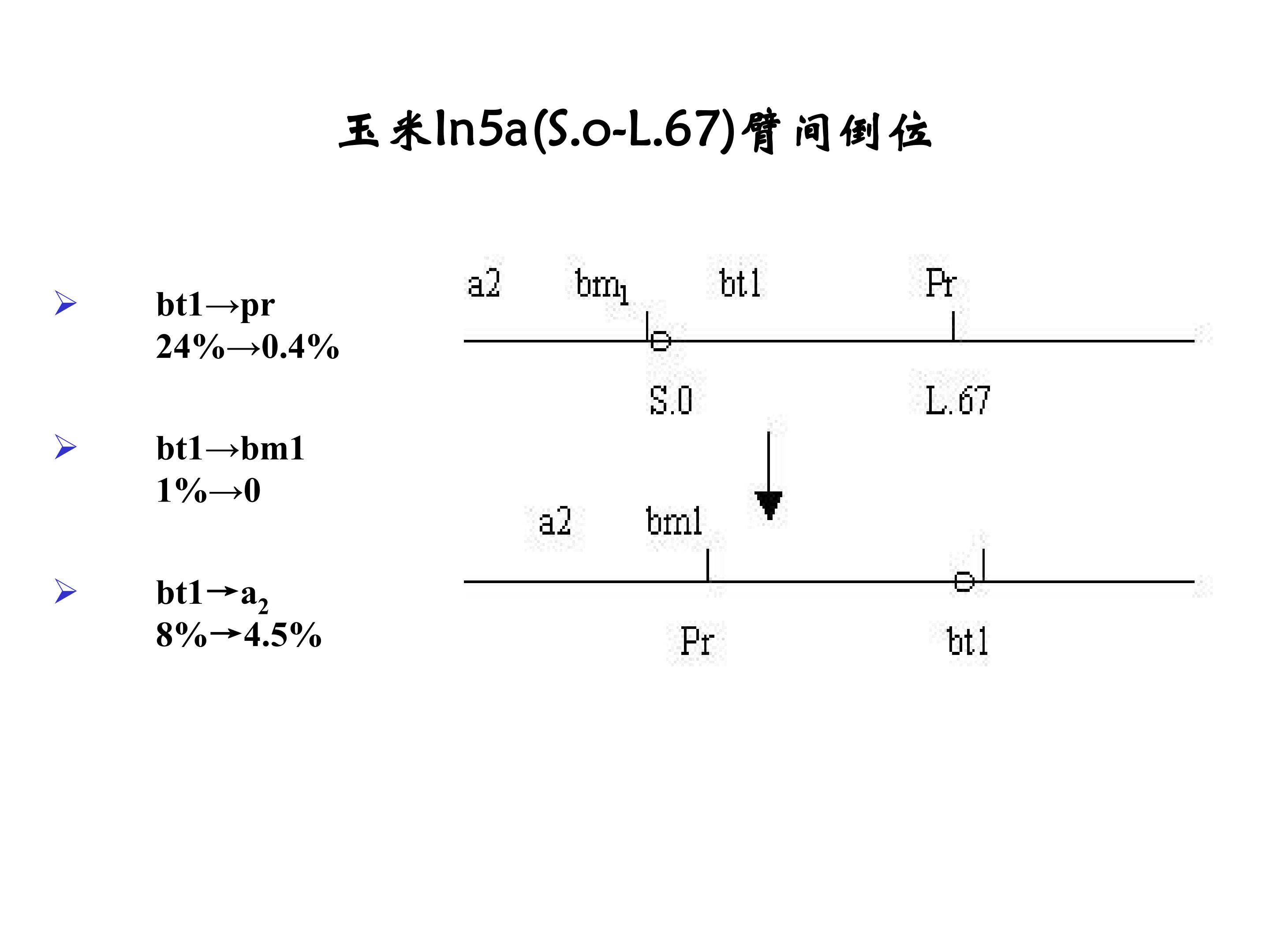 68.jpg