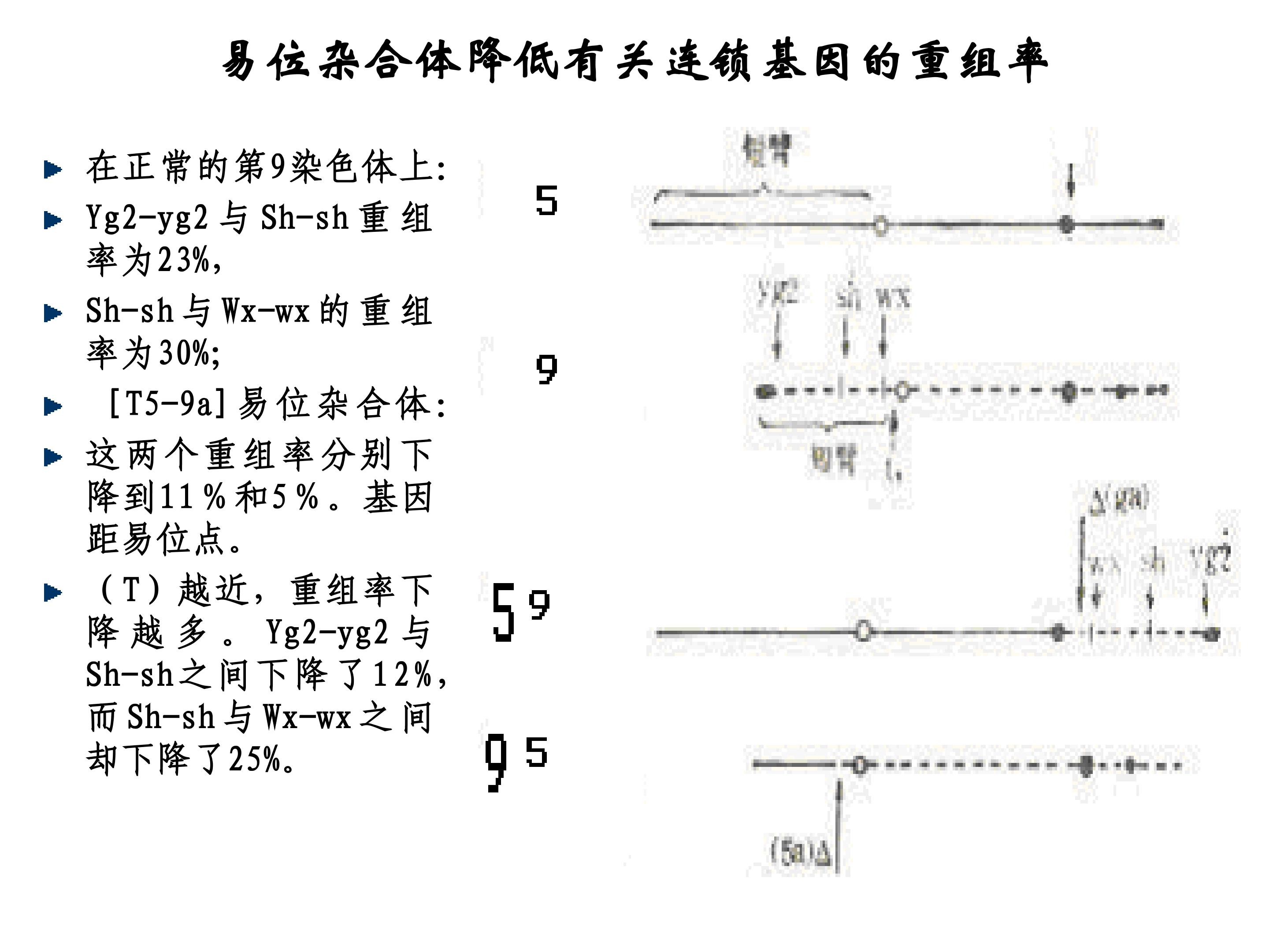 91.jpg