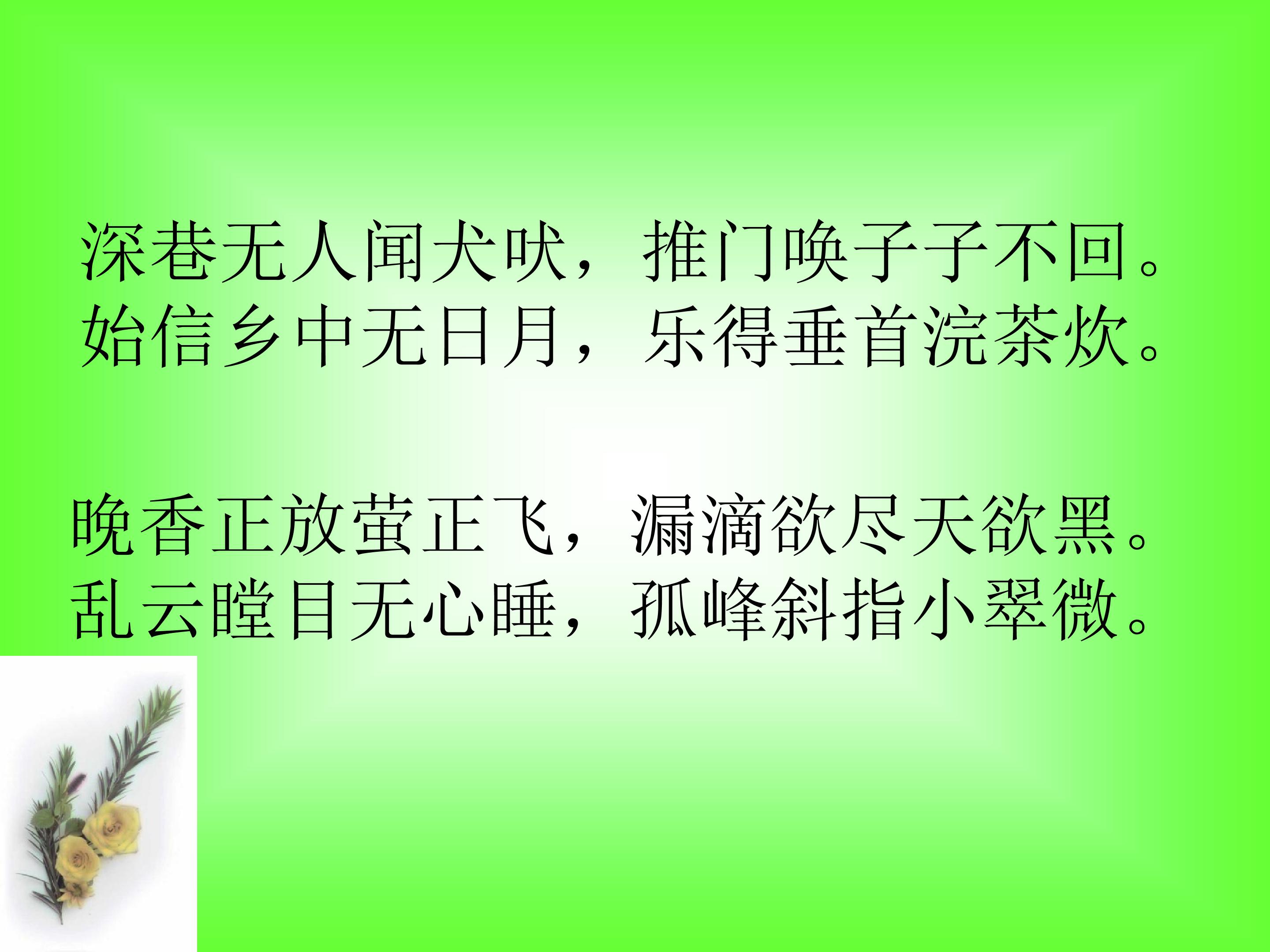 29.jpg