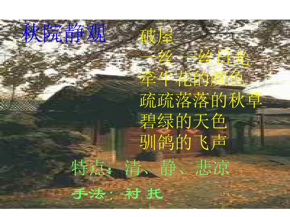 28.jpg