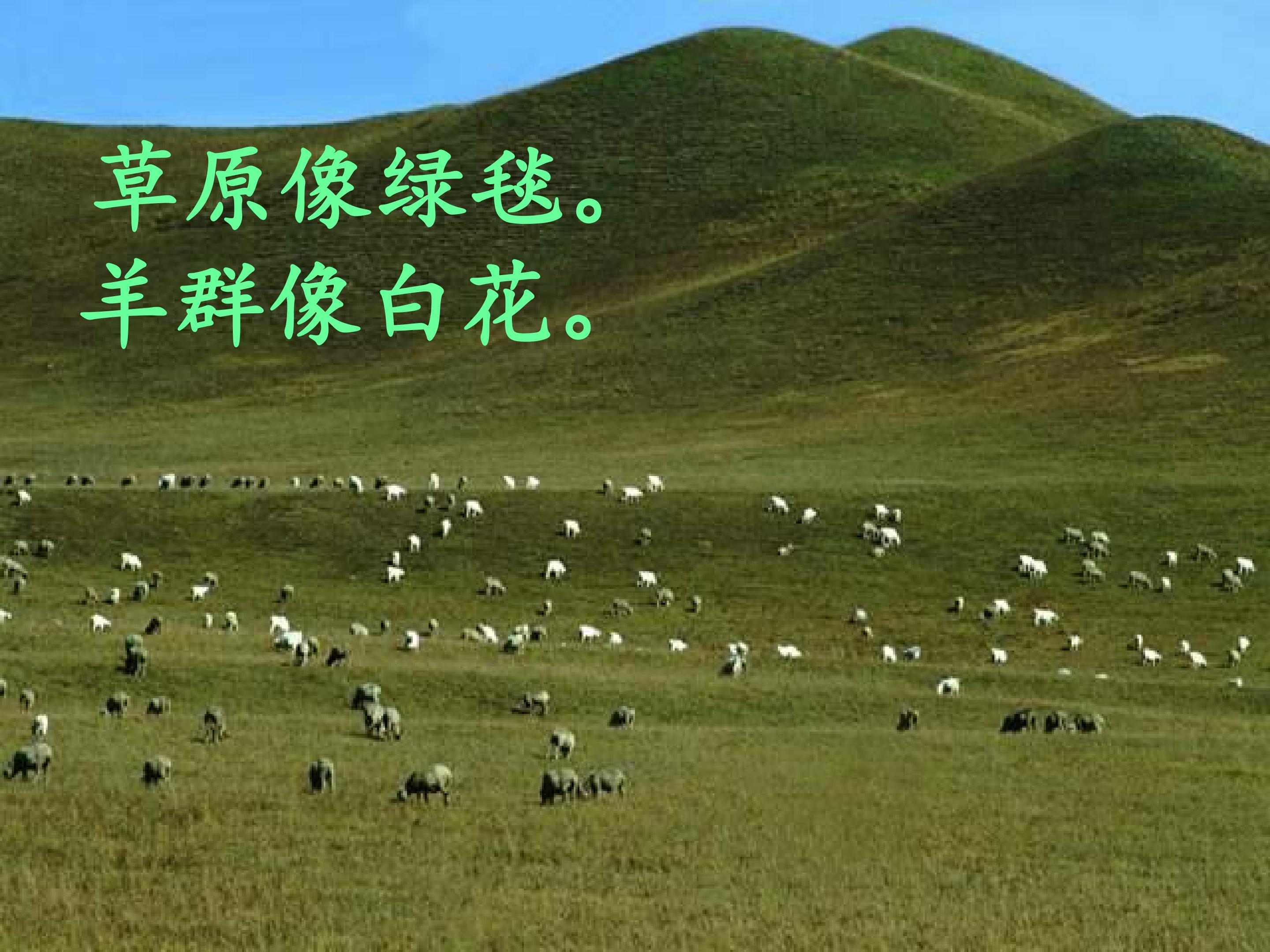16.jpg