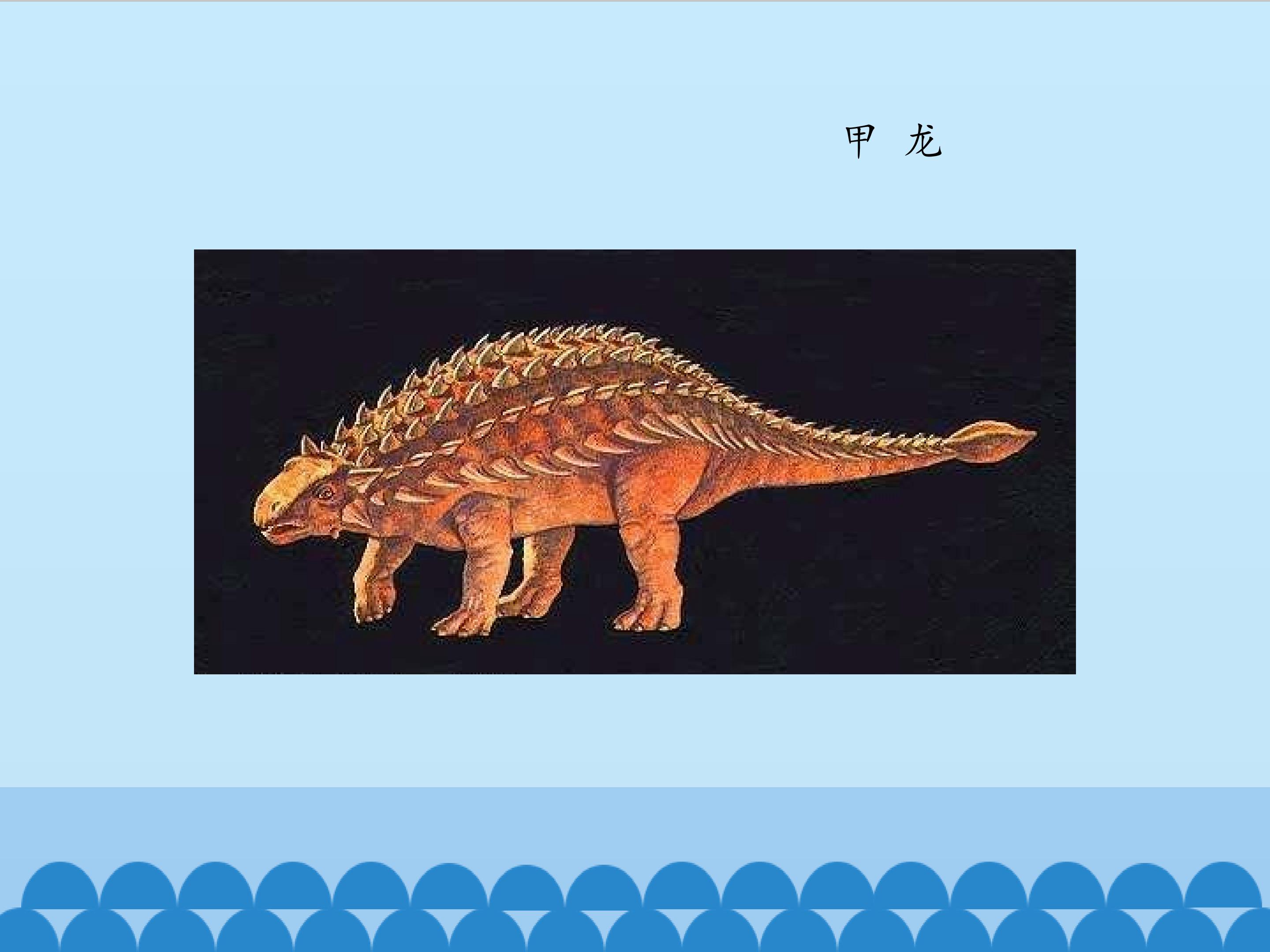 24.jpg