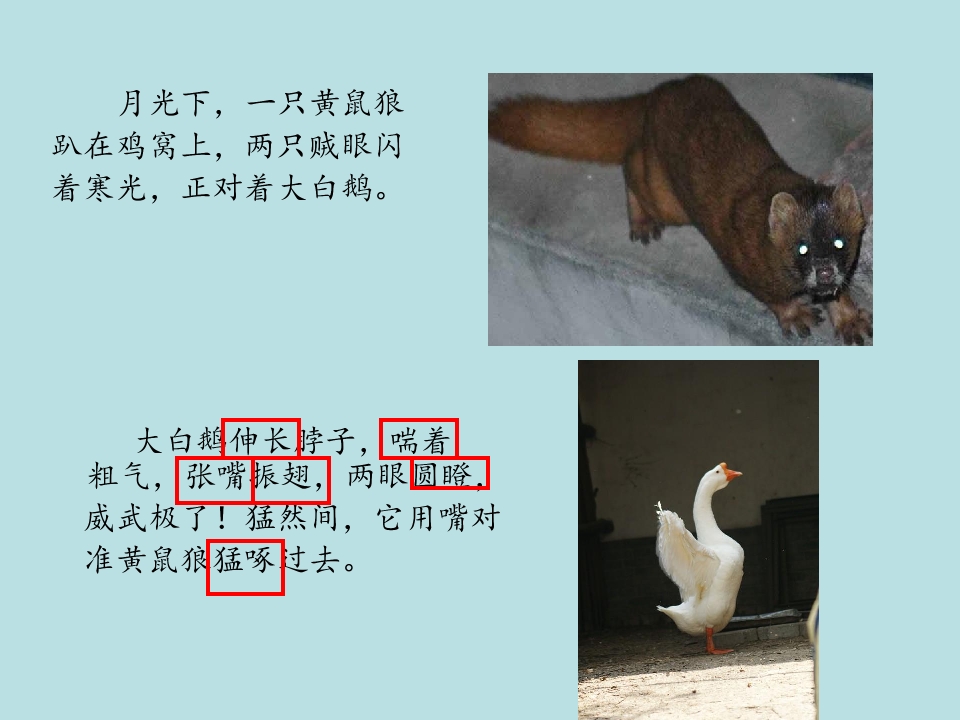 16.jpg
