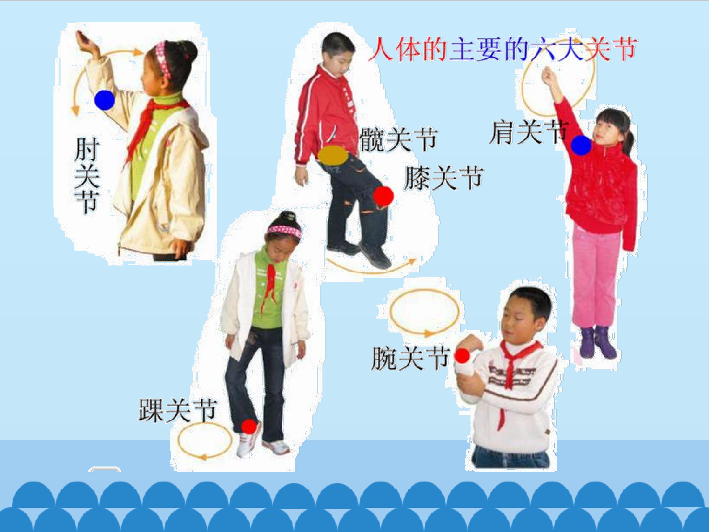 5.jpg