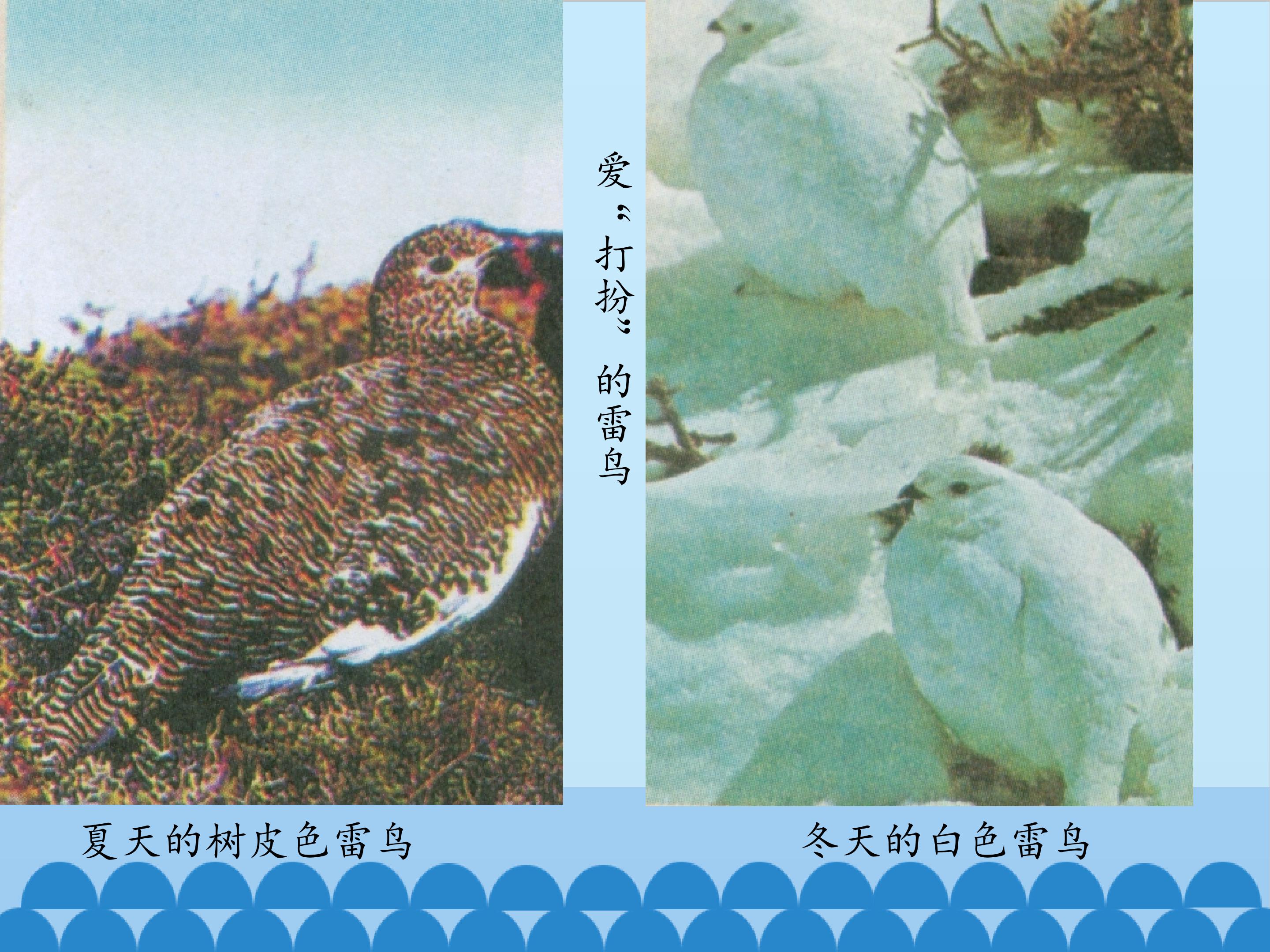 27.jpg