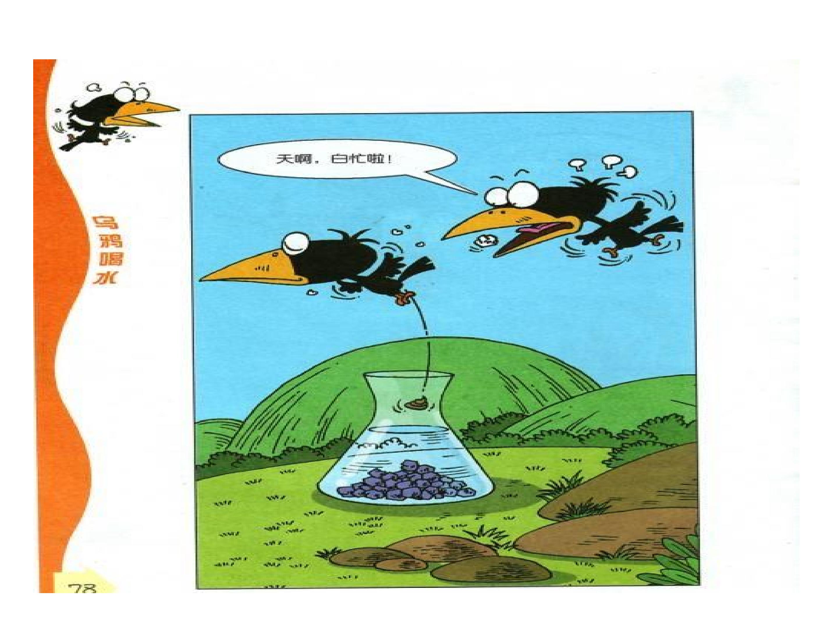 27.jpg