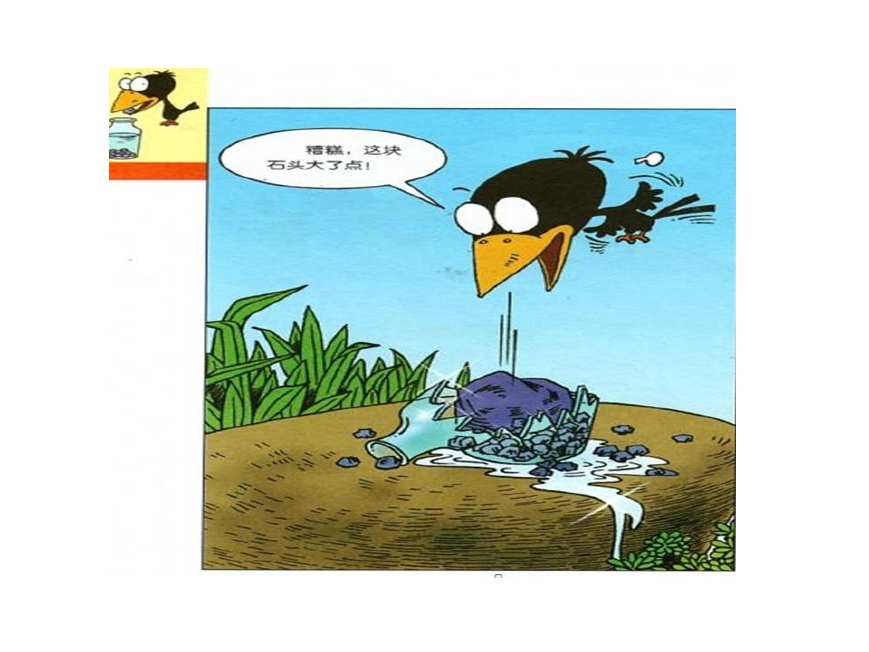 29.jpg