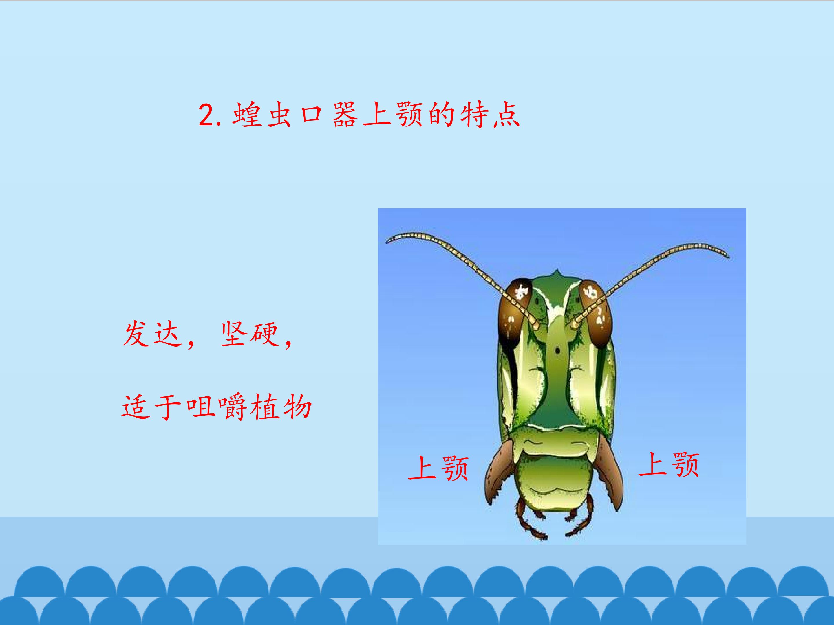 15.jpg