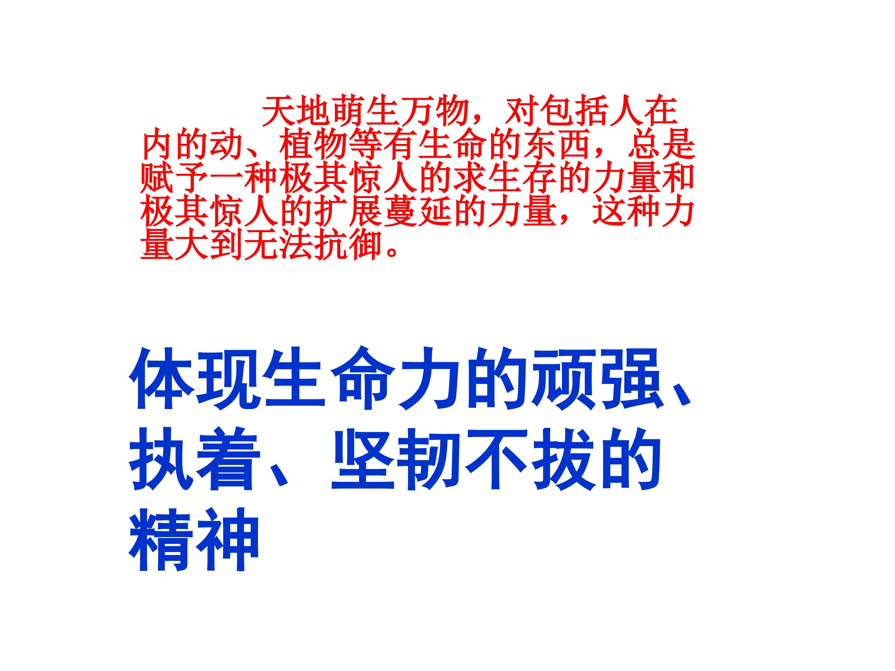 45.jpg