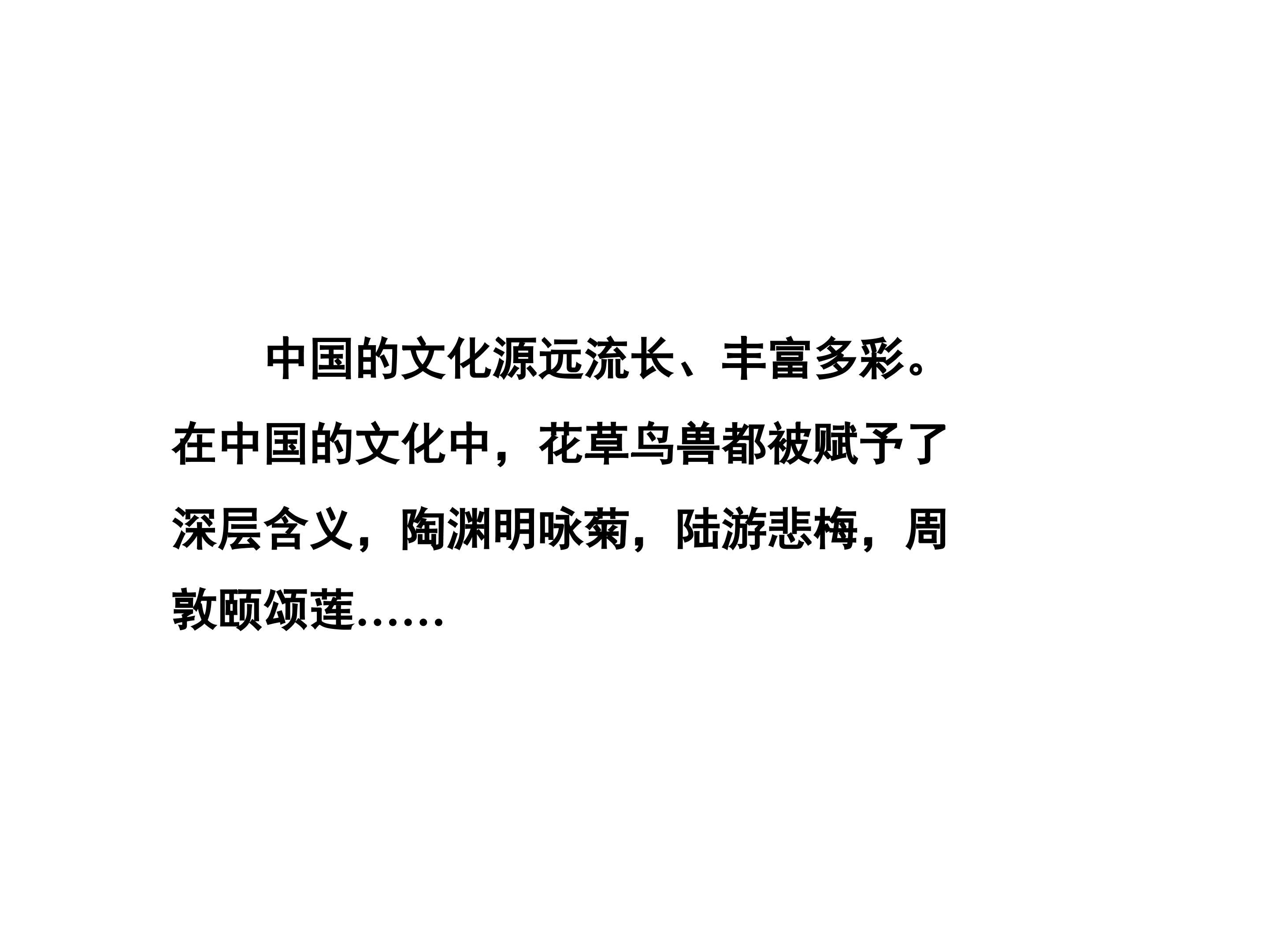 52.jpg