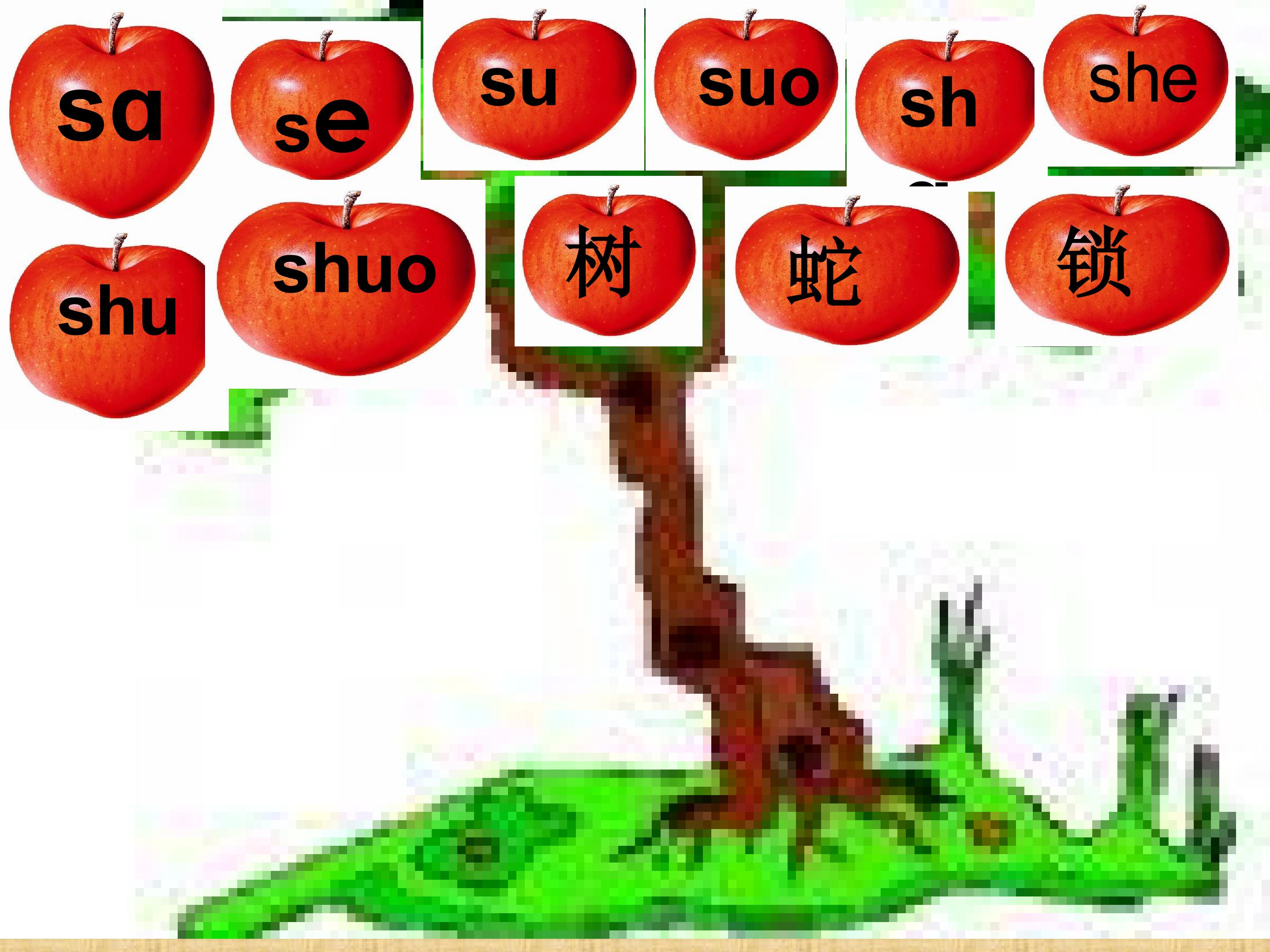 14.jpg