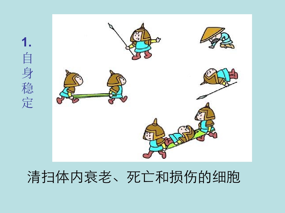 11.jpg