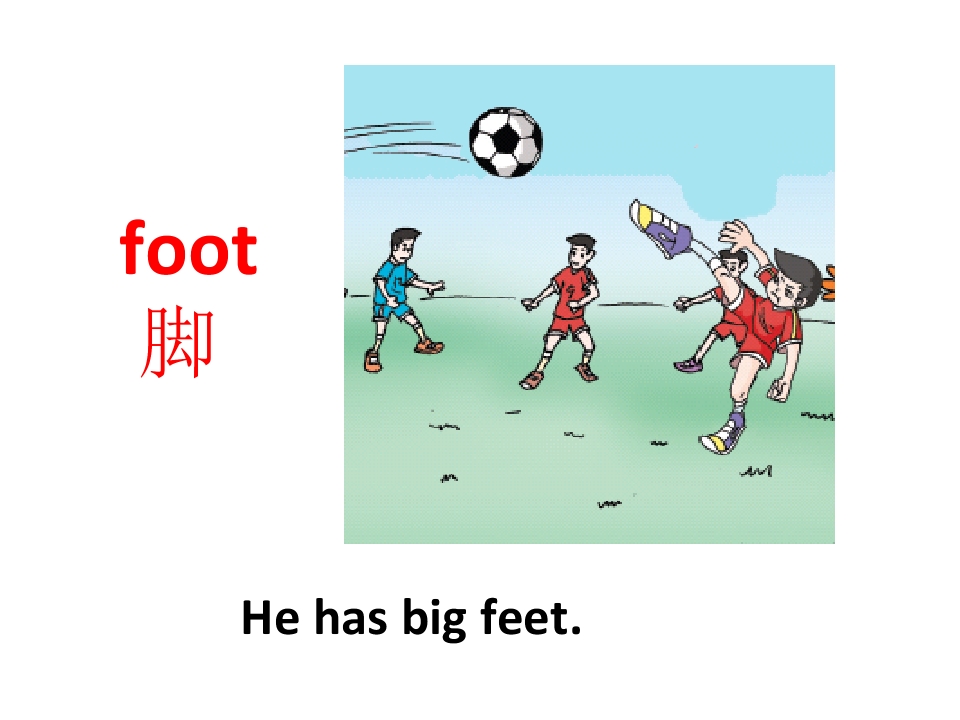 11.jpg
