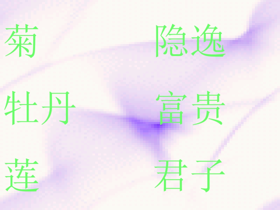 77.jpg