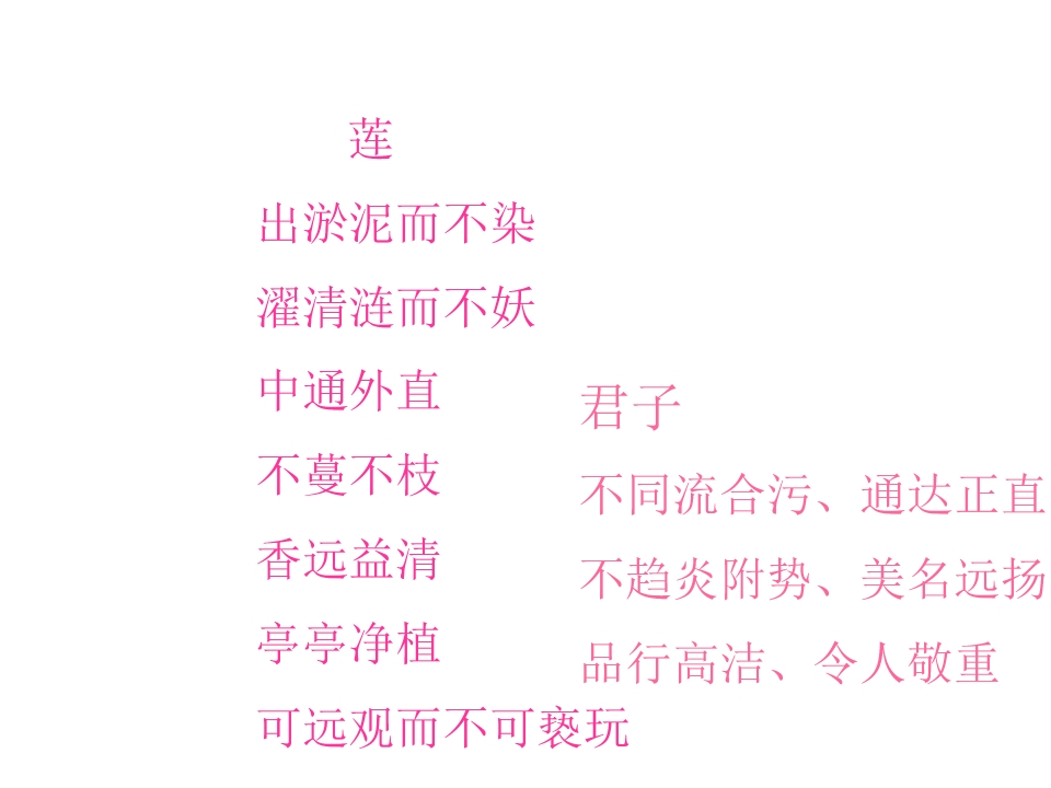 81.jpg