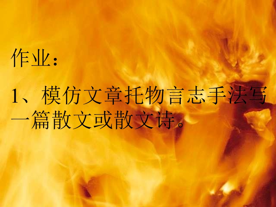 95.jpg