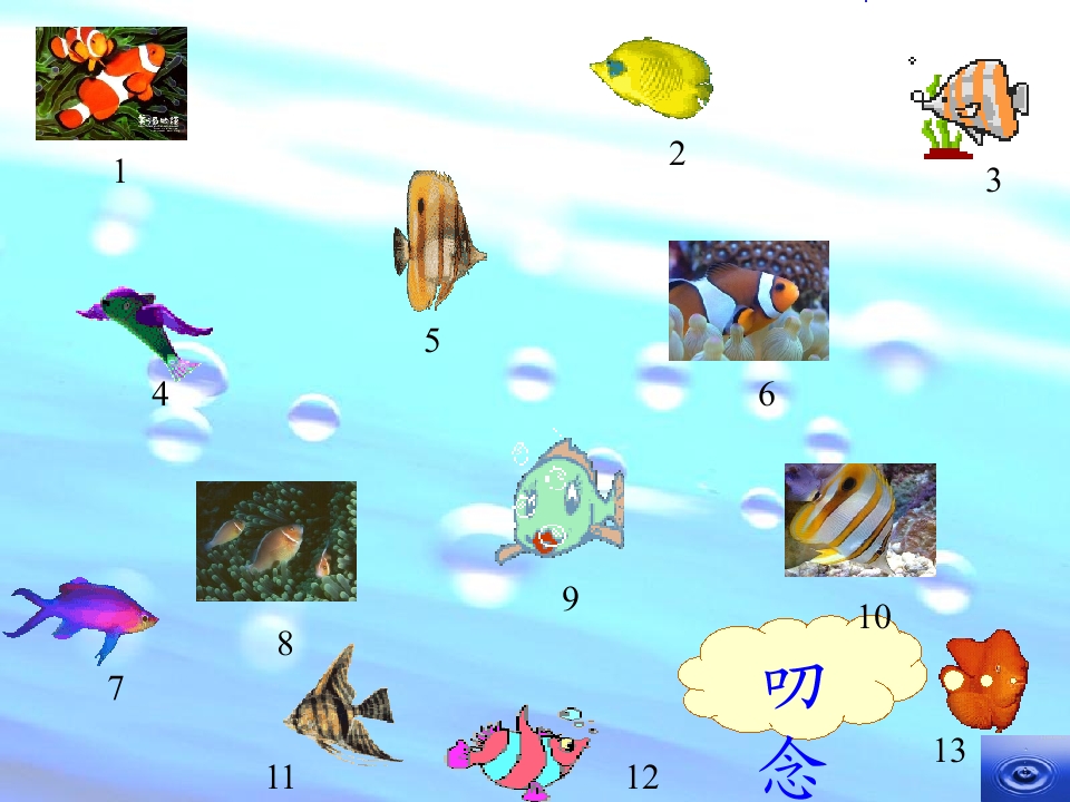 16.jpg