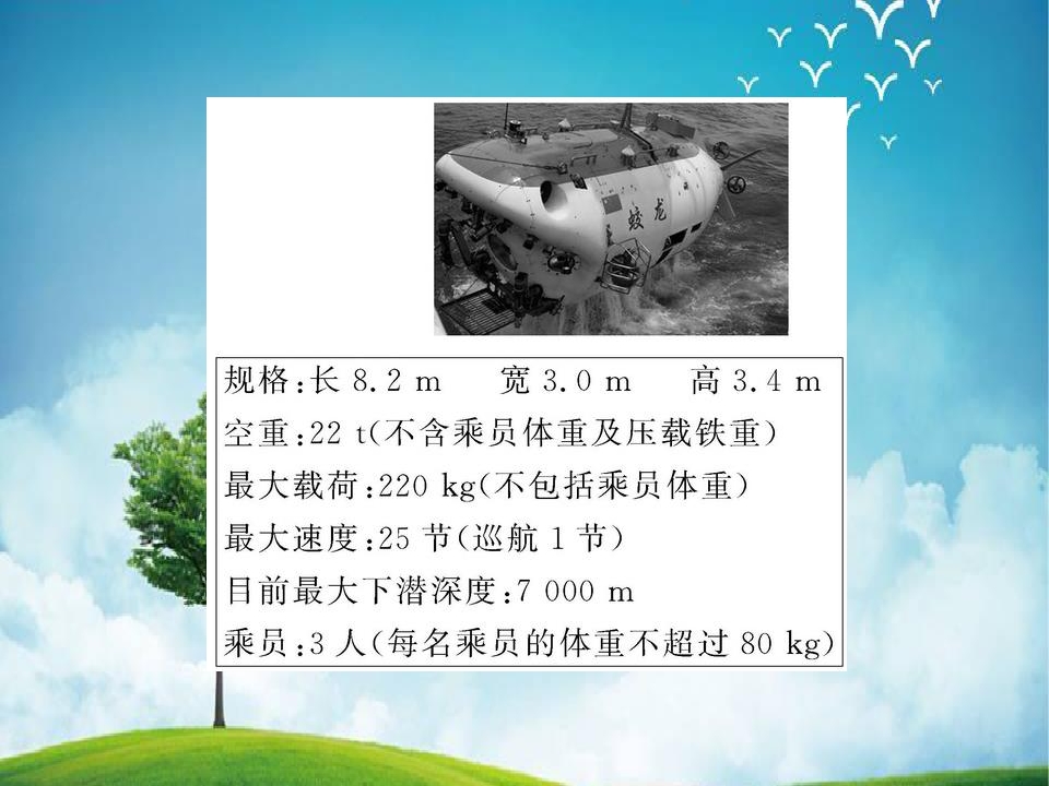 44.jpg