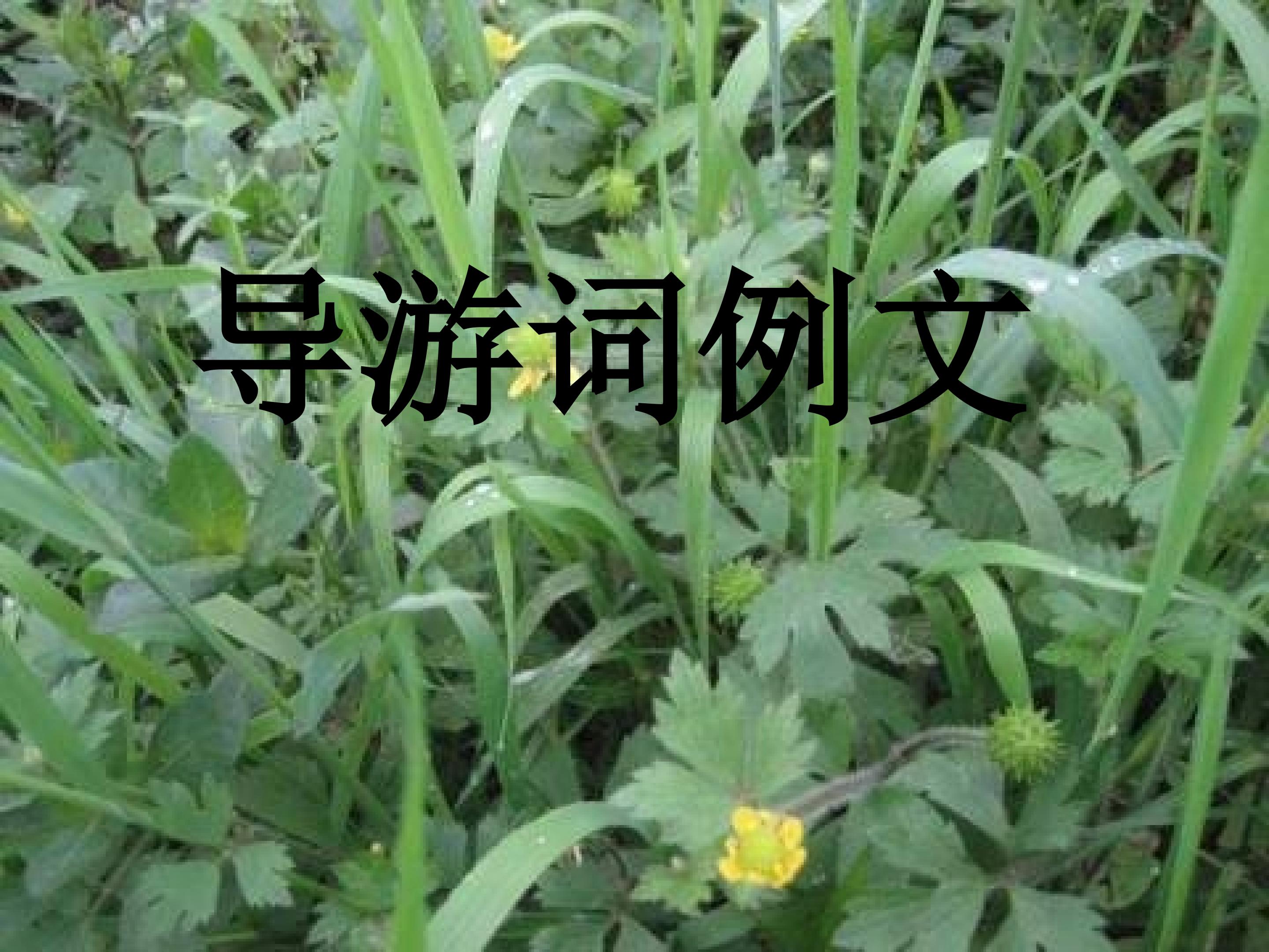 64.jpg