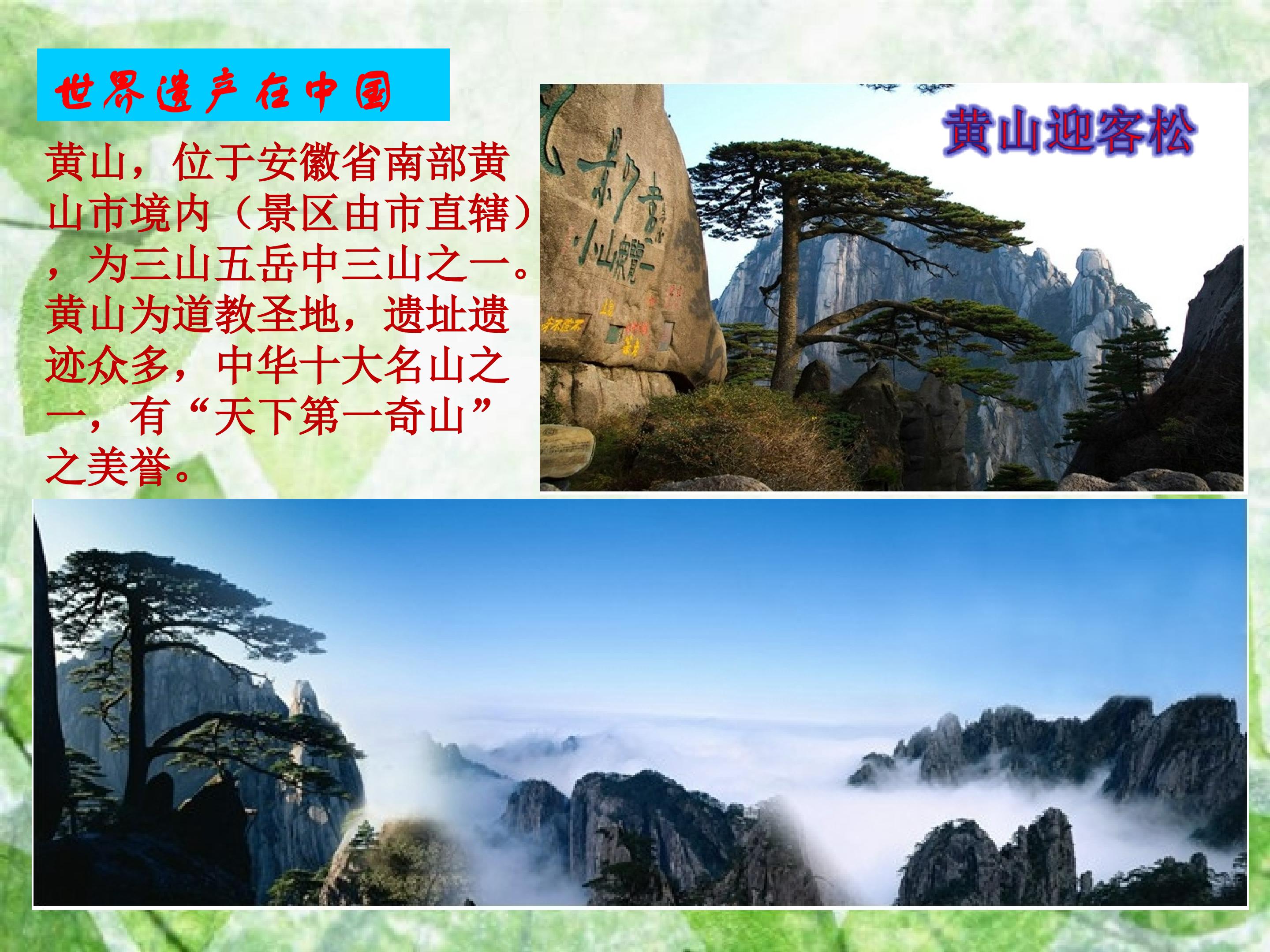 80.jpg