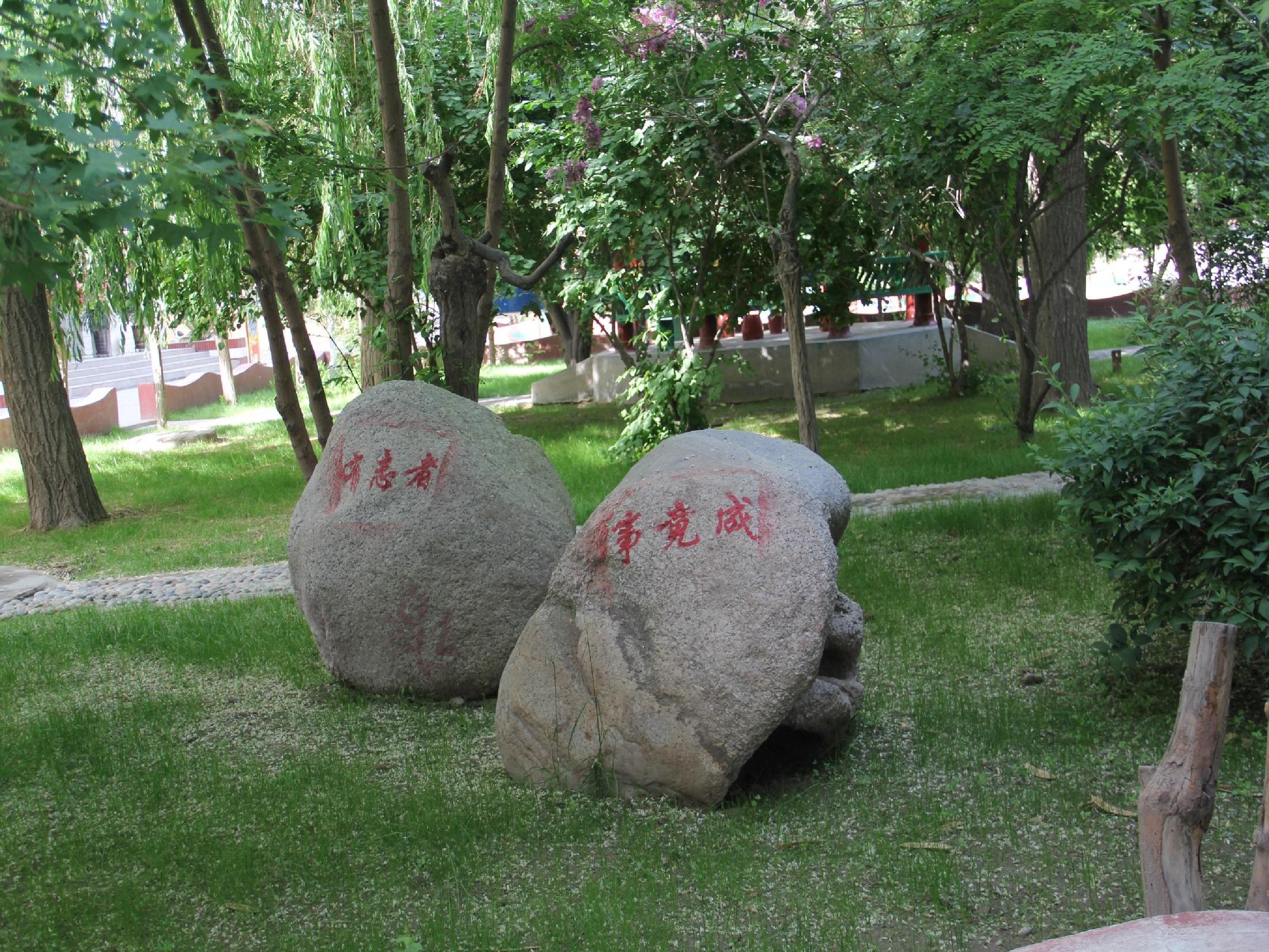 50.jpg