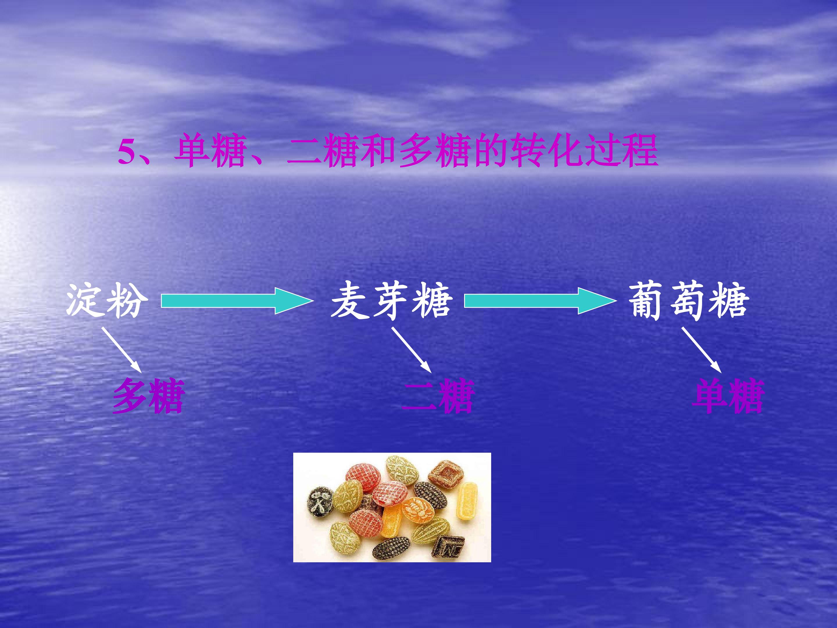 16.jpg
