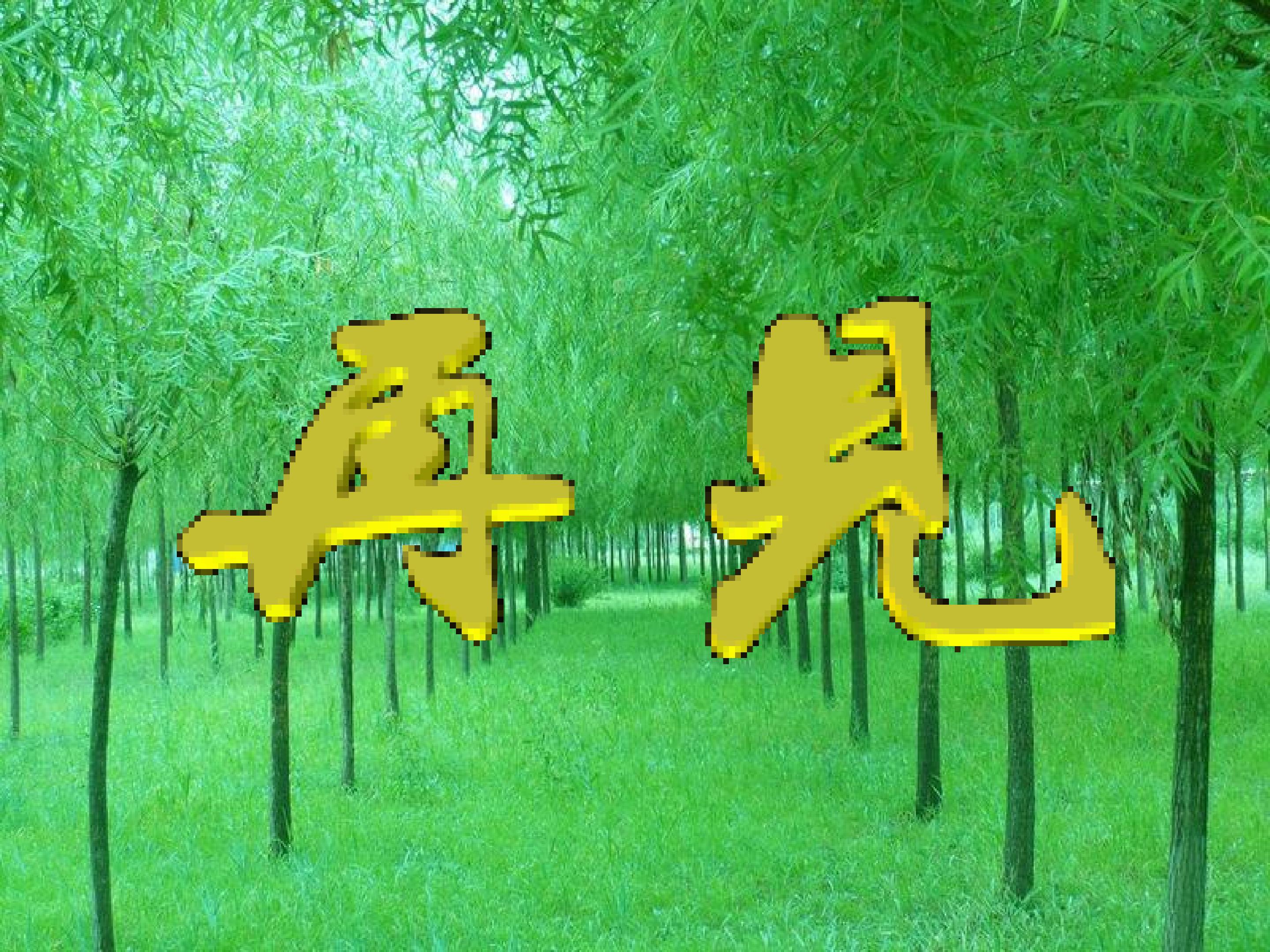 22.jpg