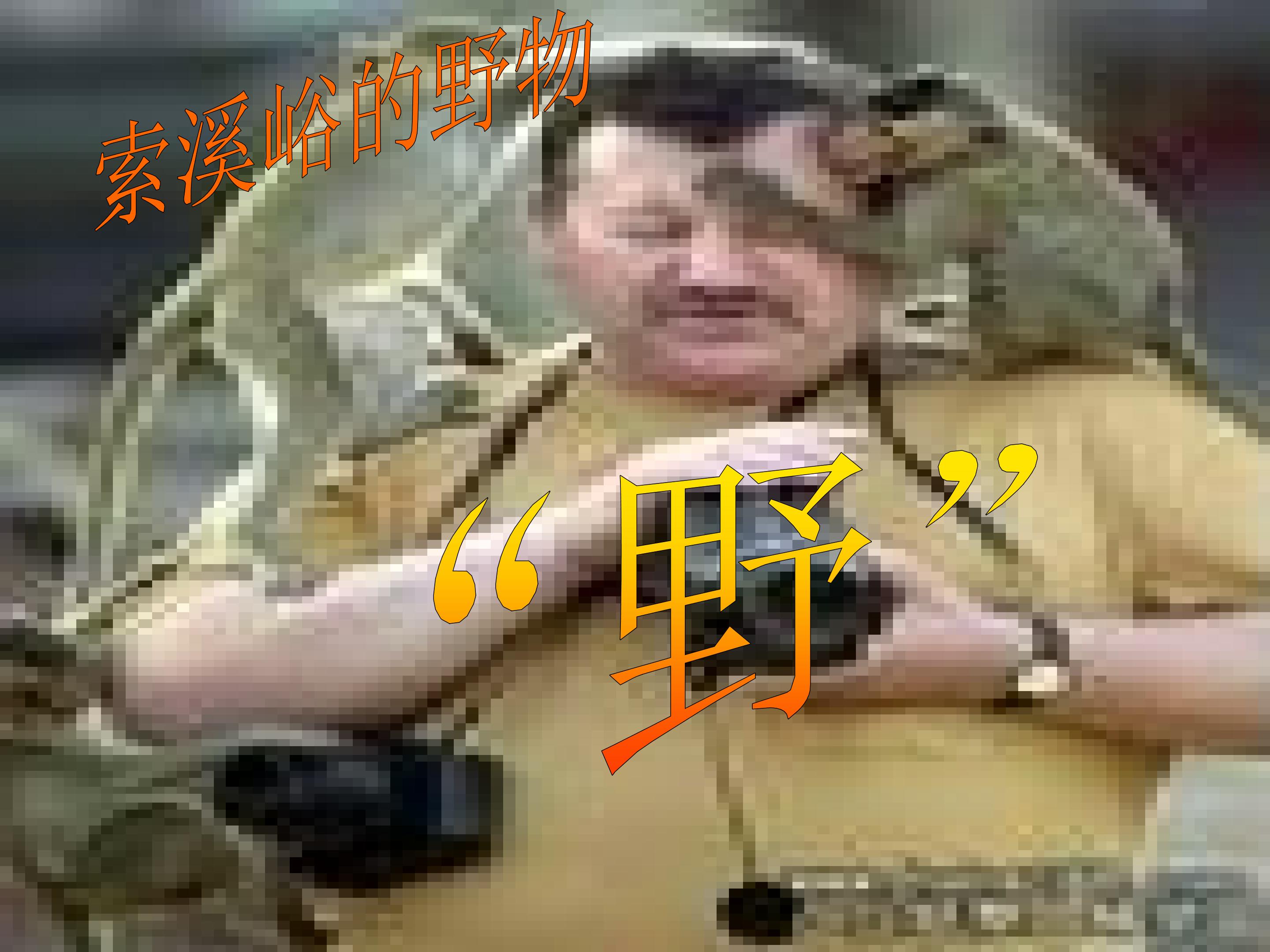 29.jpg