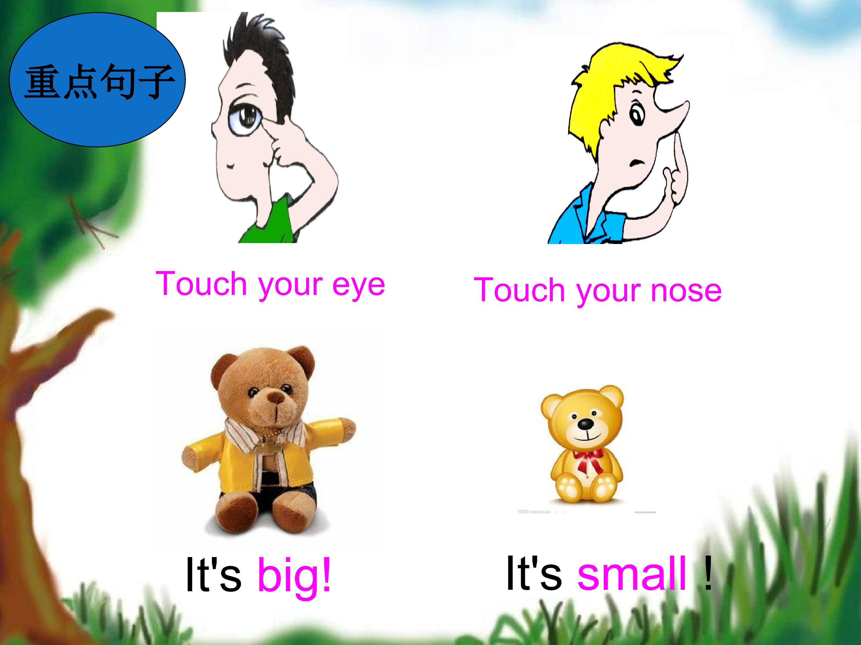 15.jpg