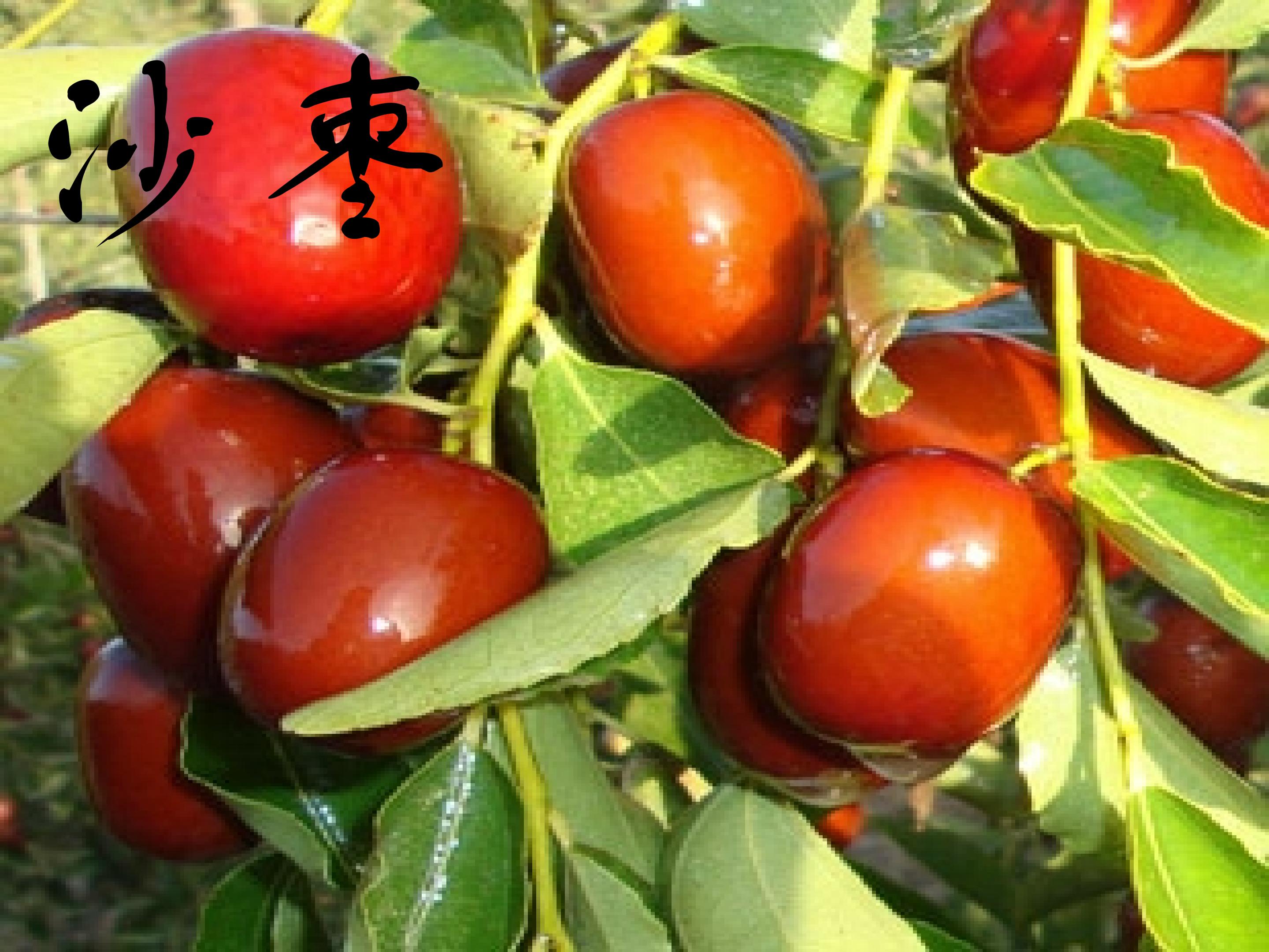 46.jpg