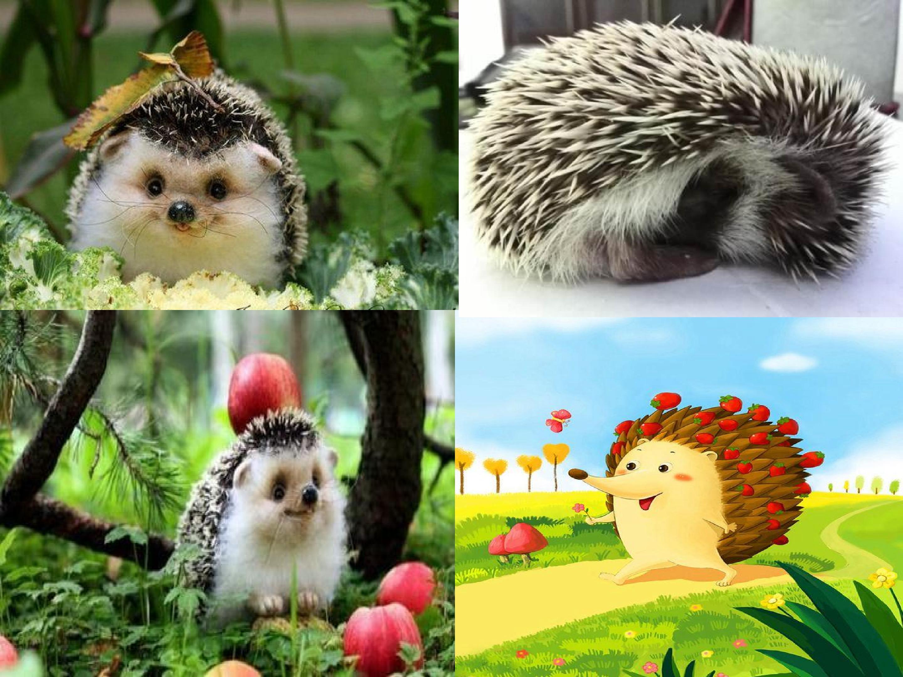 4.jpg