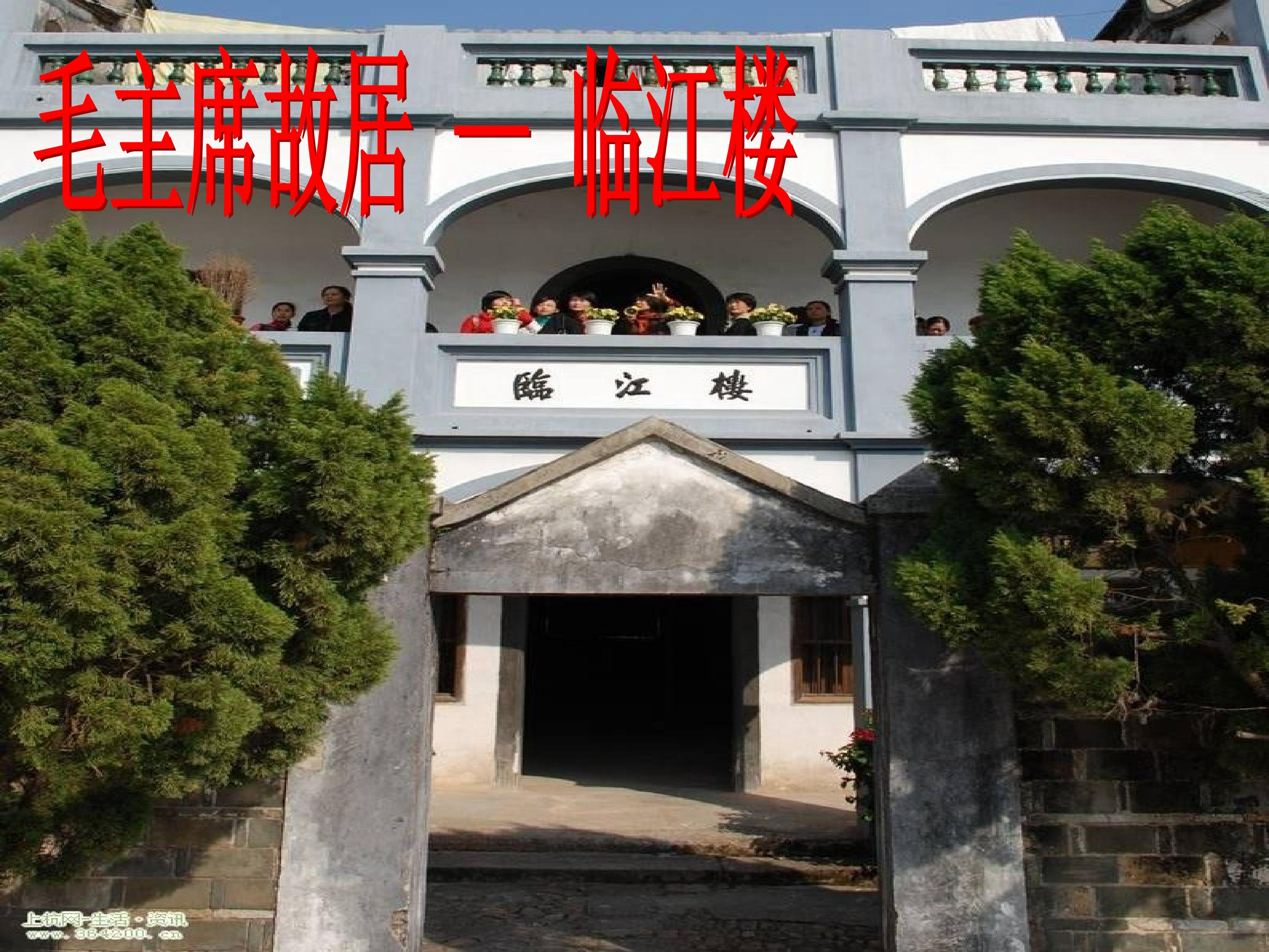 46.jpg